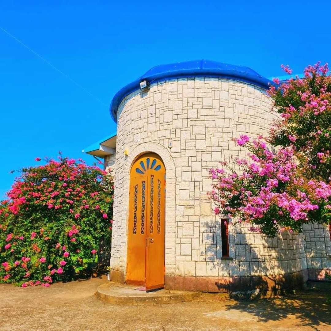 Blue Guest House Samtredia Luaran gambar